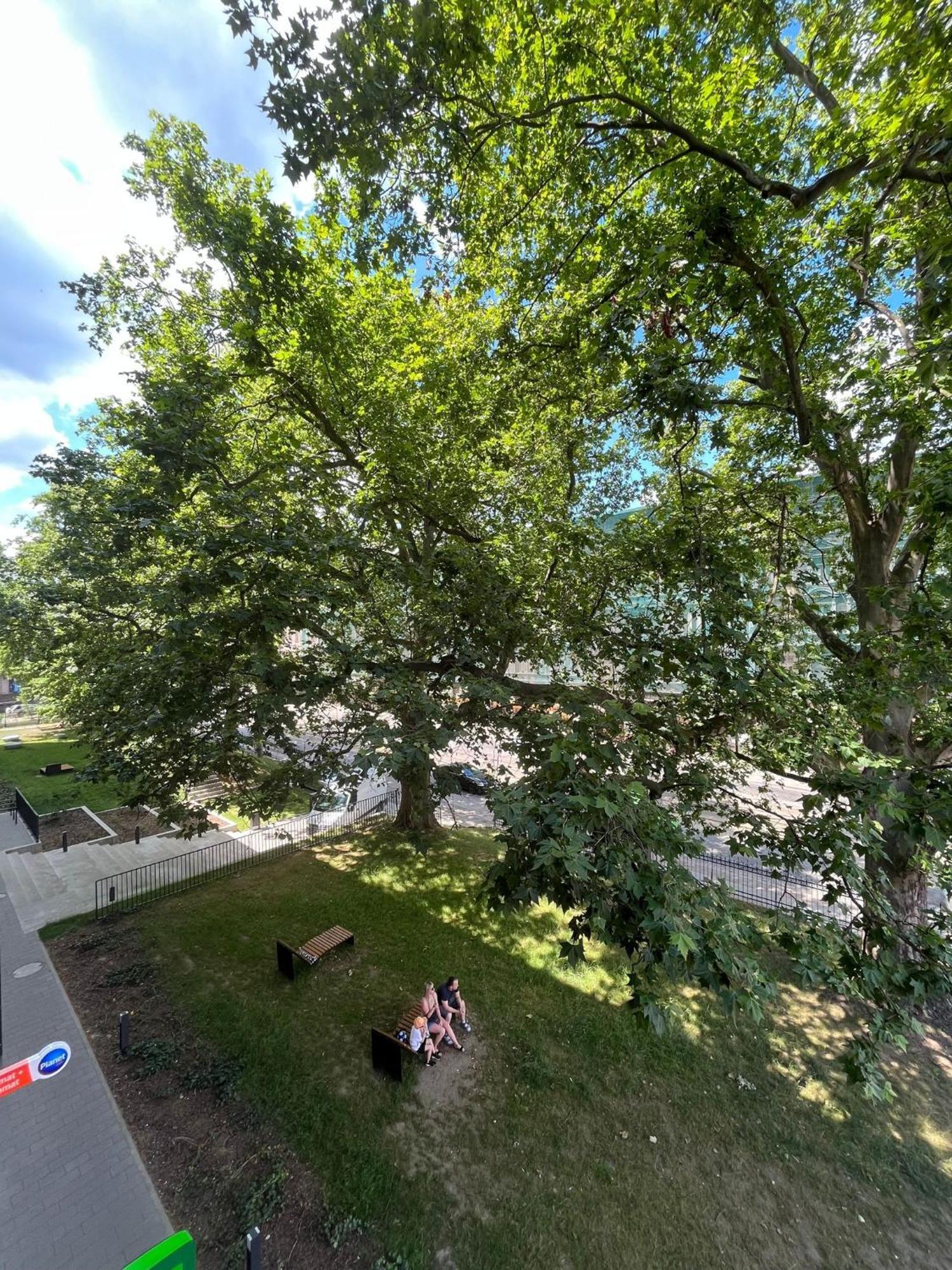 Komfort Z Balkonem W Centrum Breslau Exterior foto